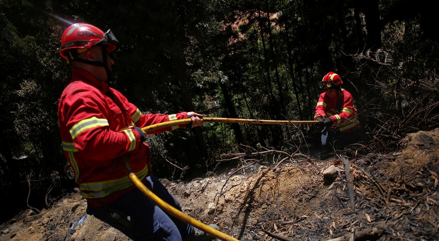 O incêndio de Monchique consumiu mais de 27 mil hectares de floresta no início do mês
