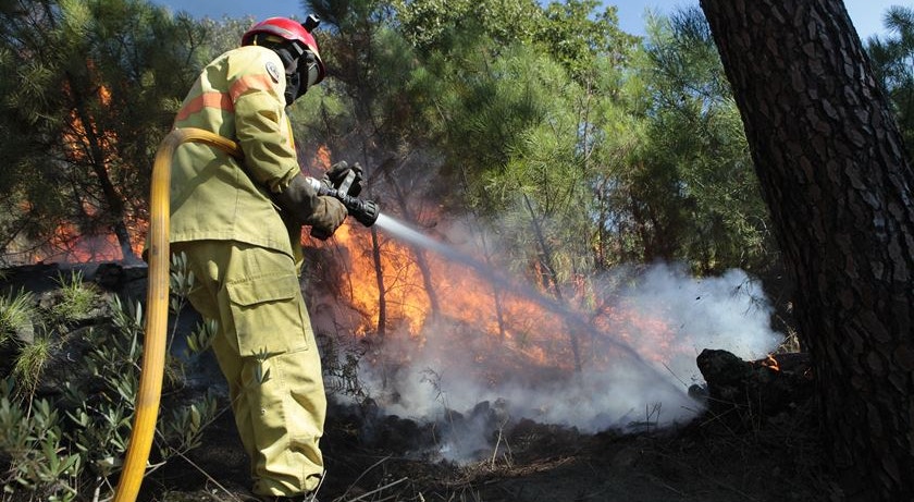 Portugal Braces for Extreme Fire Risk as Temperatures Soar Above 40°C