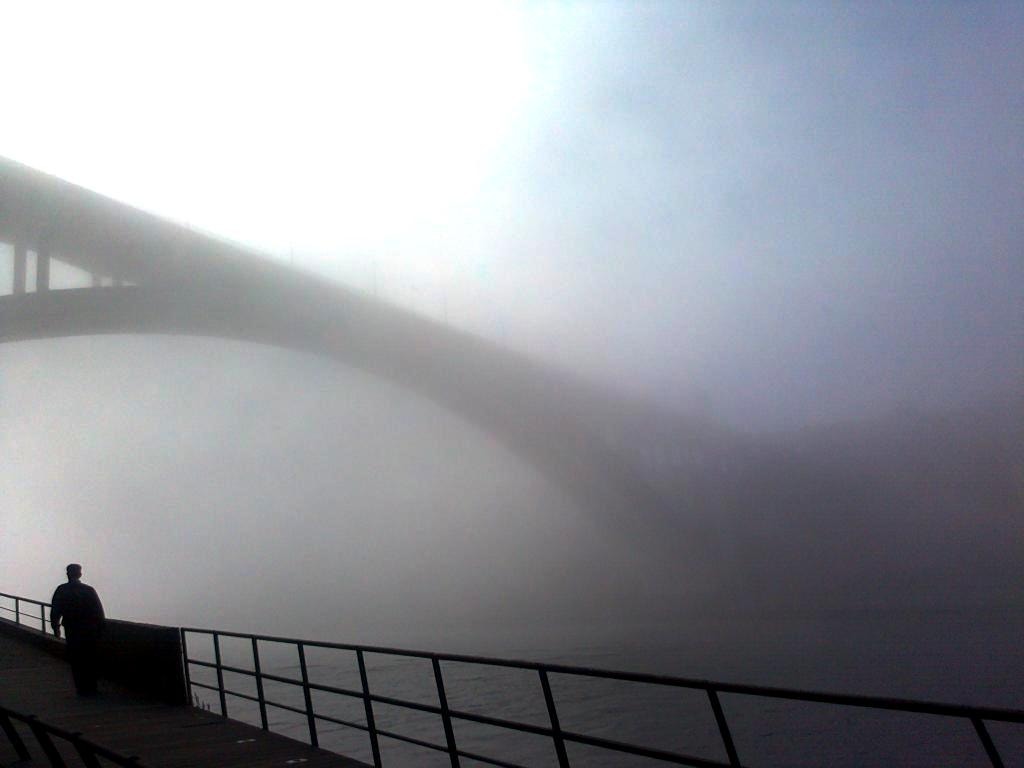  Enviada por M. Blanche - Magia do nevoeiro sobre o Douro 