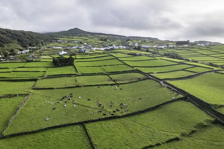 O abalo foi sentido na ilha Terceira
