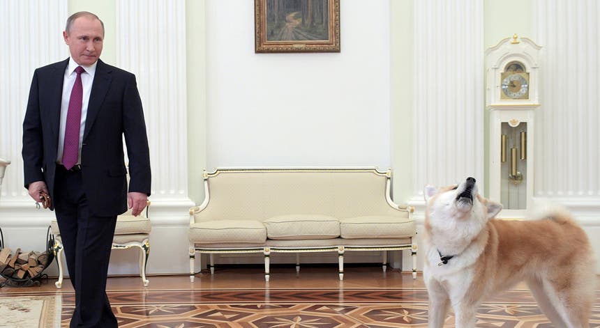 O presidente russo Vladimir Putin. Foto: Reuters O presidente russo Vladimir Putin. Foto: Reuters