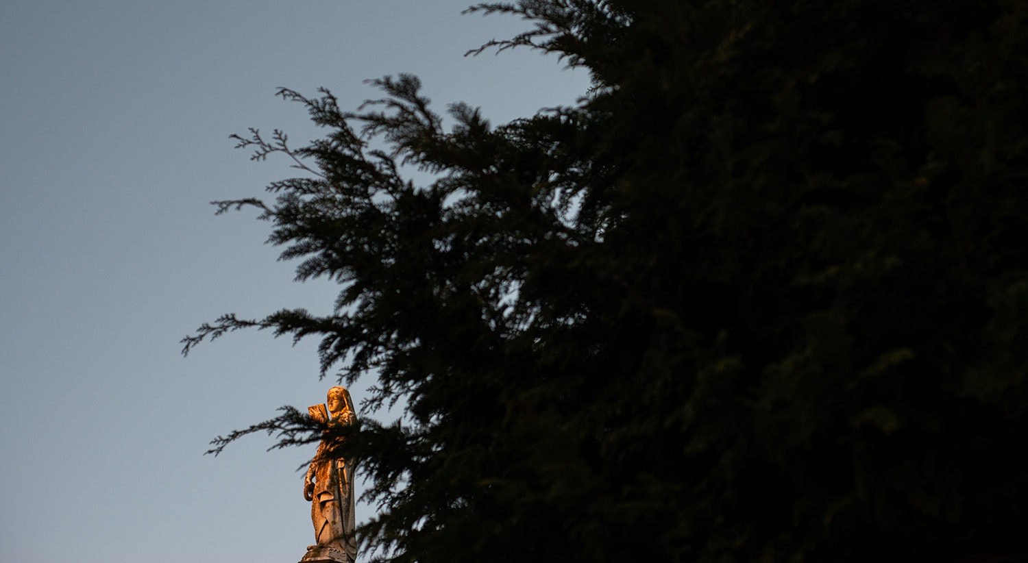  Foto: David Ara&uacute;jo - RTP  