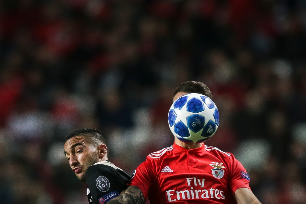 Imagem ilustrativa: Quem está escondido?