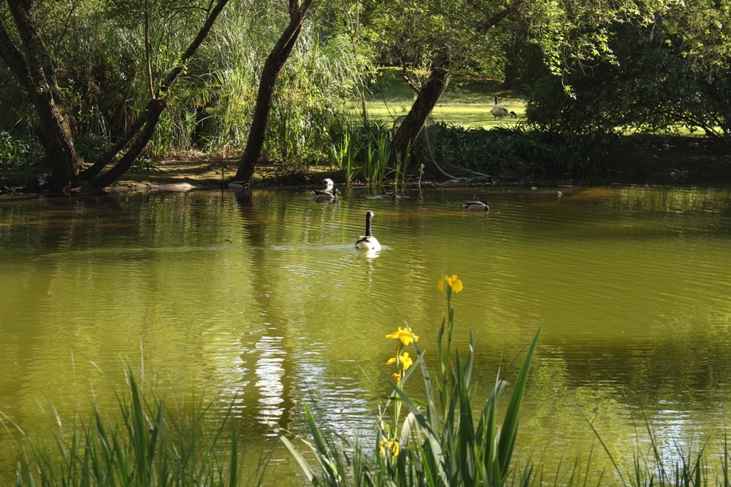  Enviado por Constan&ccedil;a Matias 