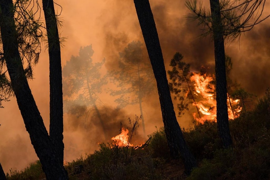 Incêndio. Bombeiros tentam travar expansão do fogo de ...