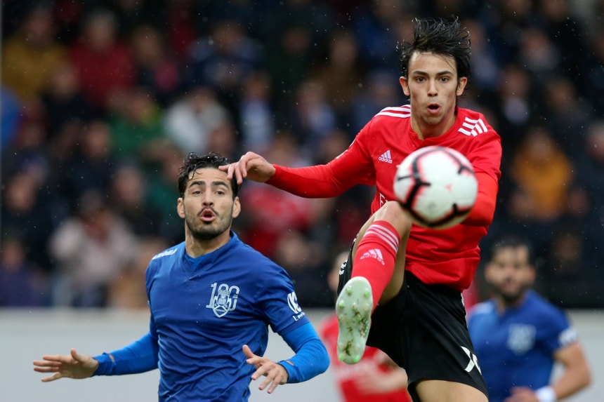 A equipa do Benfica deu mais um passo na corrida à conquista do título de campeã
