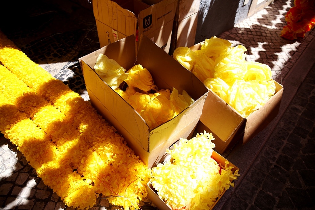  Nuno Patr&iacute;cio - RTP 