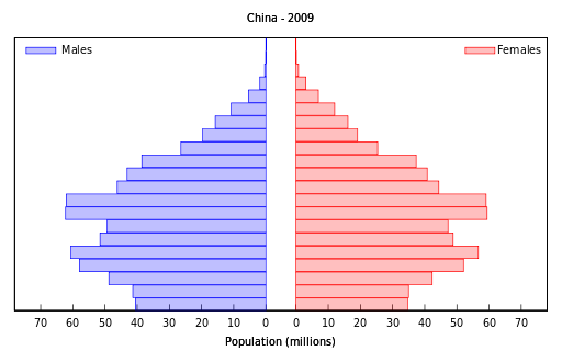 A curva demogr&aacute;fica da popula&ccedil;&atilde;o chinesa em 2009 &eacute; demonstrativa de crescente desequil&iacute;brio geracional (fonte wikicommons)