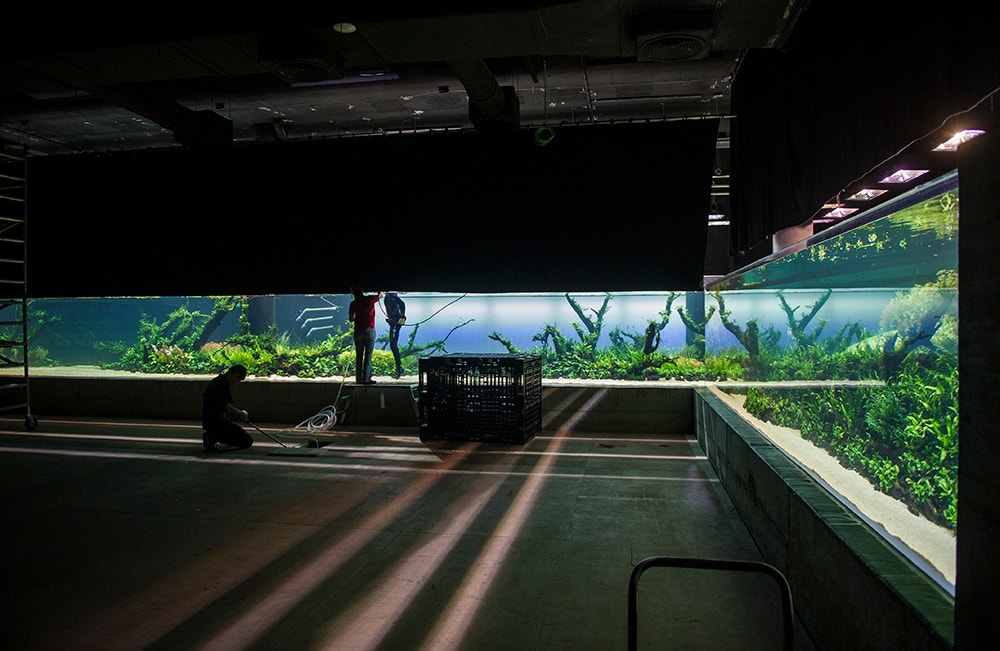  Pedro A. Pina / Ocean&aacute;rio  