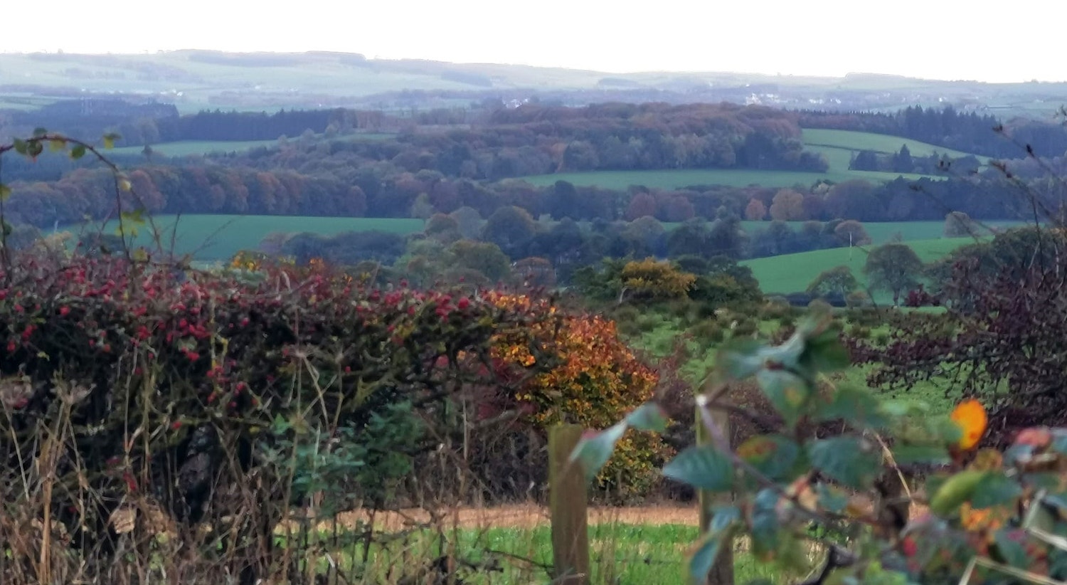  Quinta Org&acirc;nica Mossgiel em Mauchline, Reino Unido | Tiago Passos - RTP 