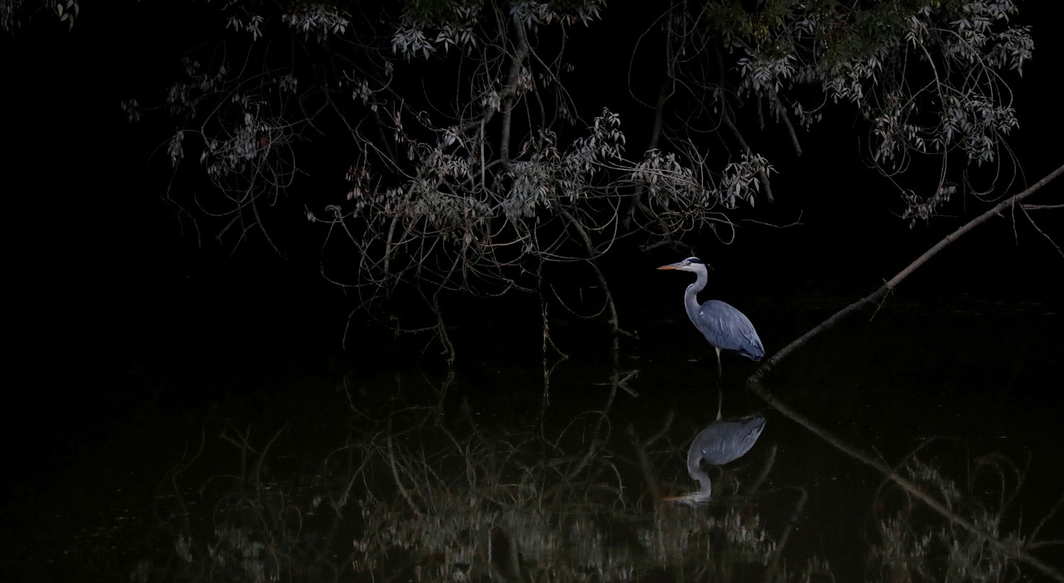  Um gar&ccedil;aperto do rio Sevre em Vertou, em Fran&ccedil;a. 23 setembro 2019 /Stephane Mahe - Reuters 