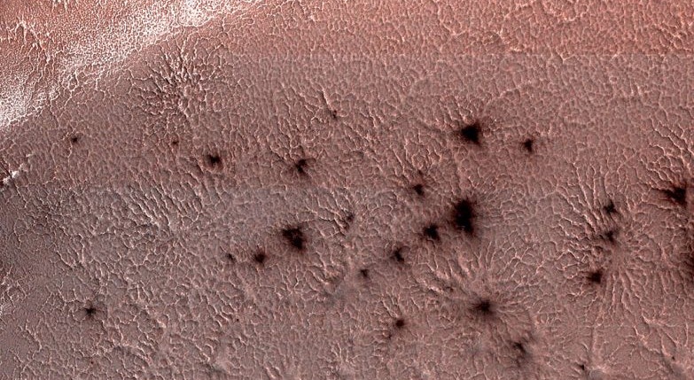 Micróbios da Terra podem sobreviver em Marte
