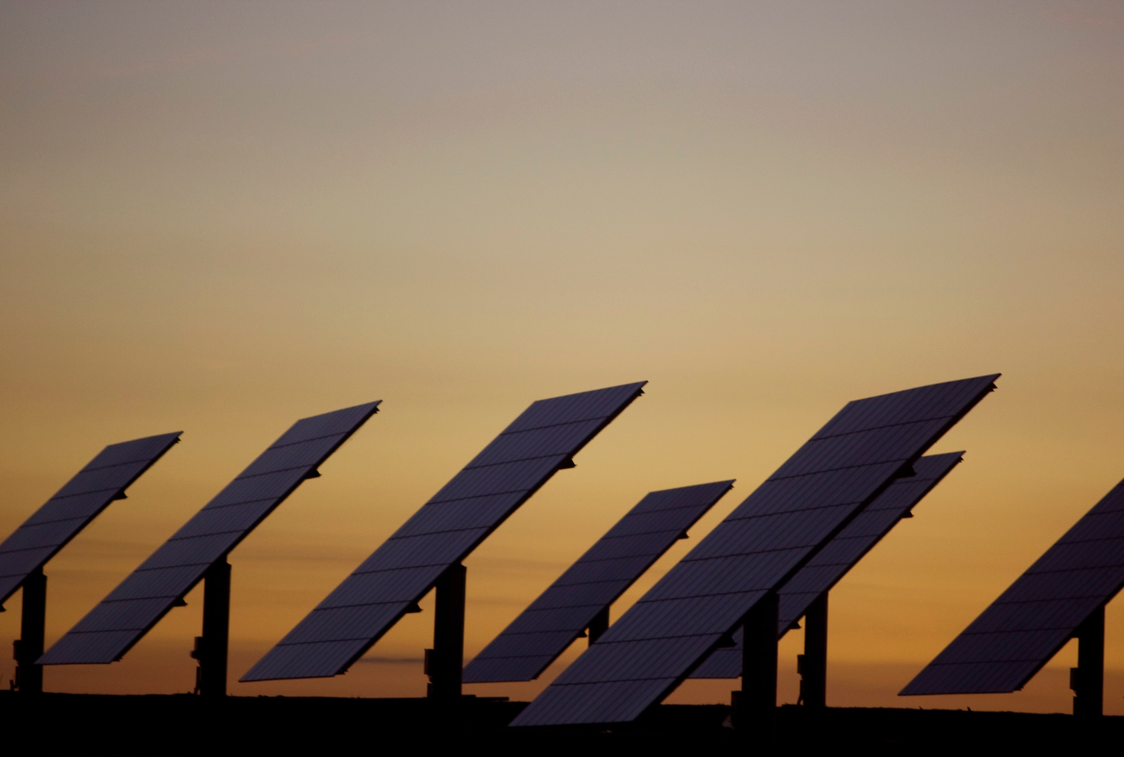Quercus quer centrais fotovoltaicas fora das florestas e áreas sensíveis