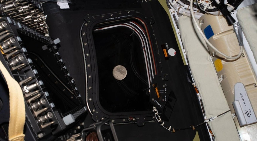 Imagem de Mais longe do que a Apollo. Astronautas da Artemis II batem recorde de distância espacial