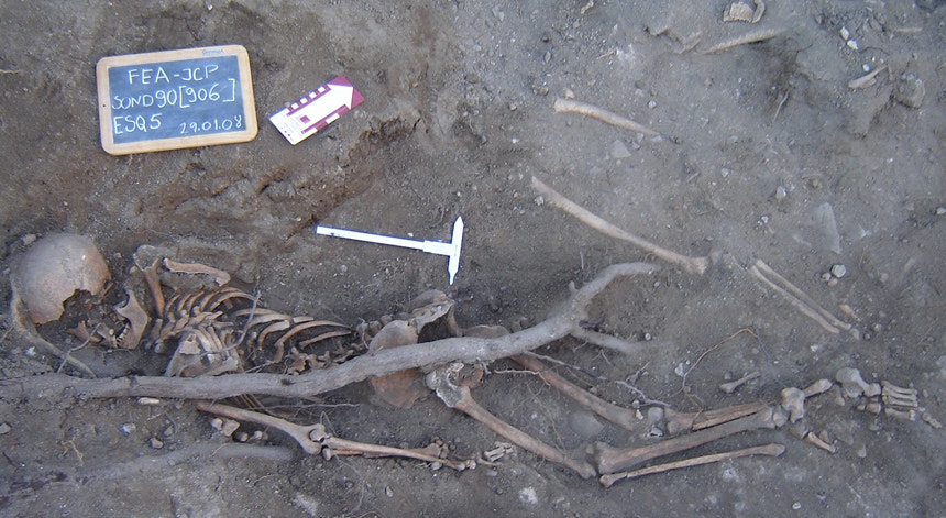 Um dos esqueletos encontrados em Évora

