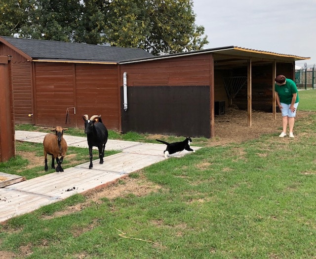  Andrea Neves - Antena 1 