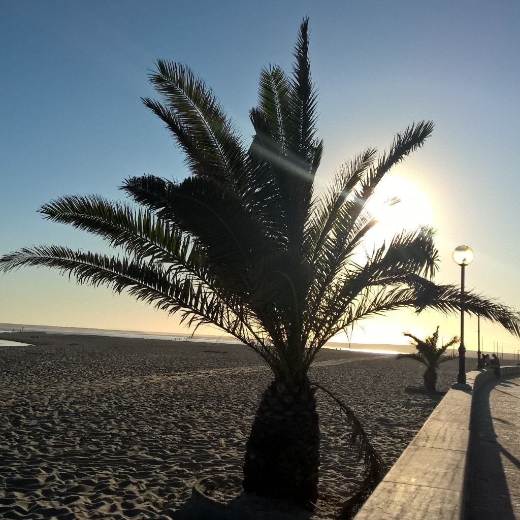  Enviado por Sandra Franken 