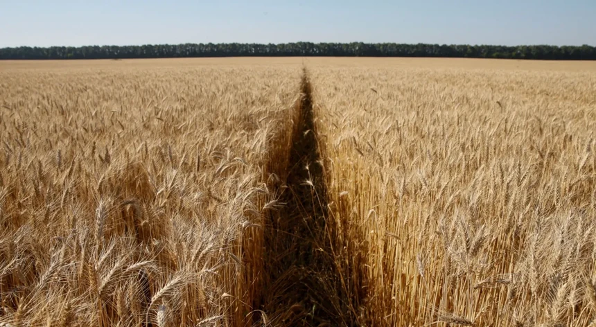 Os cereais continuam a não poder sair da Ucrânia
