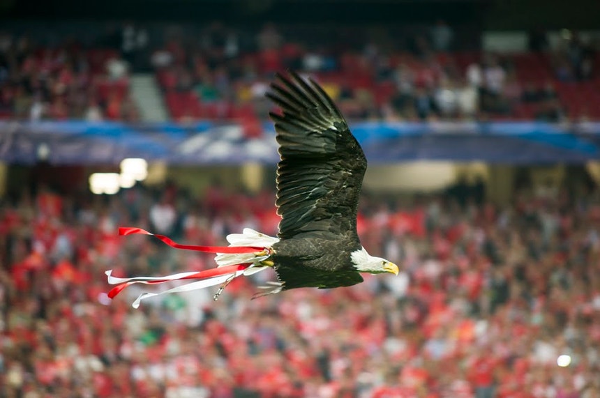 TAD anula castigo ao Benfica por confrontos no Dragão em 2025