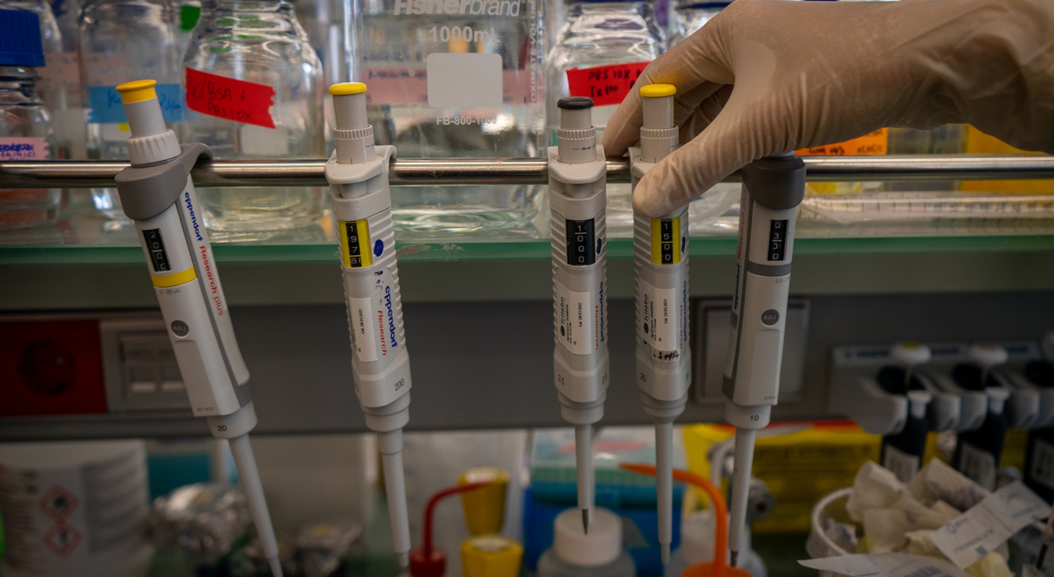  Foto: Rodrigo Lobo - RTP 