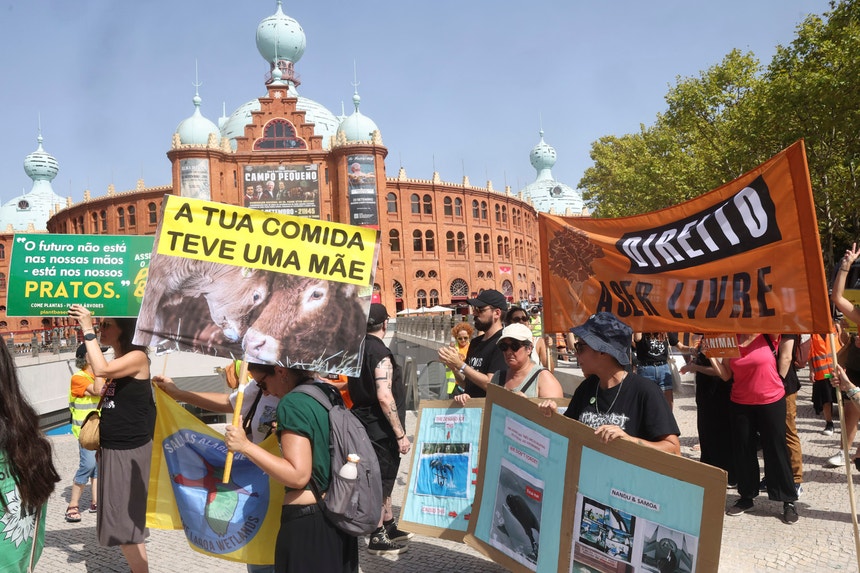 Cerca de 300 pessoas manifestaram-se em Lisboa pelos direitos "de todos os animais"