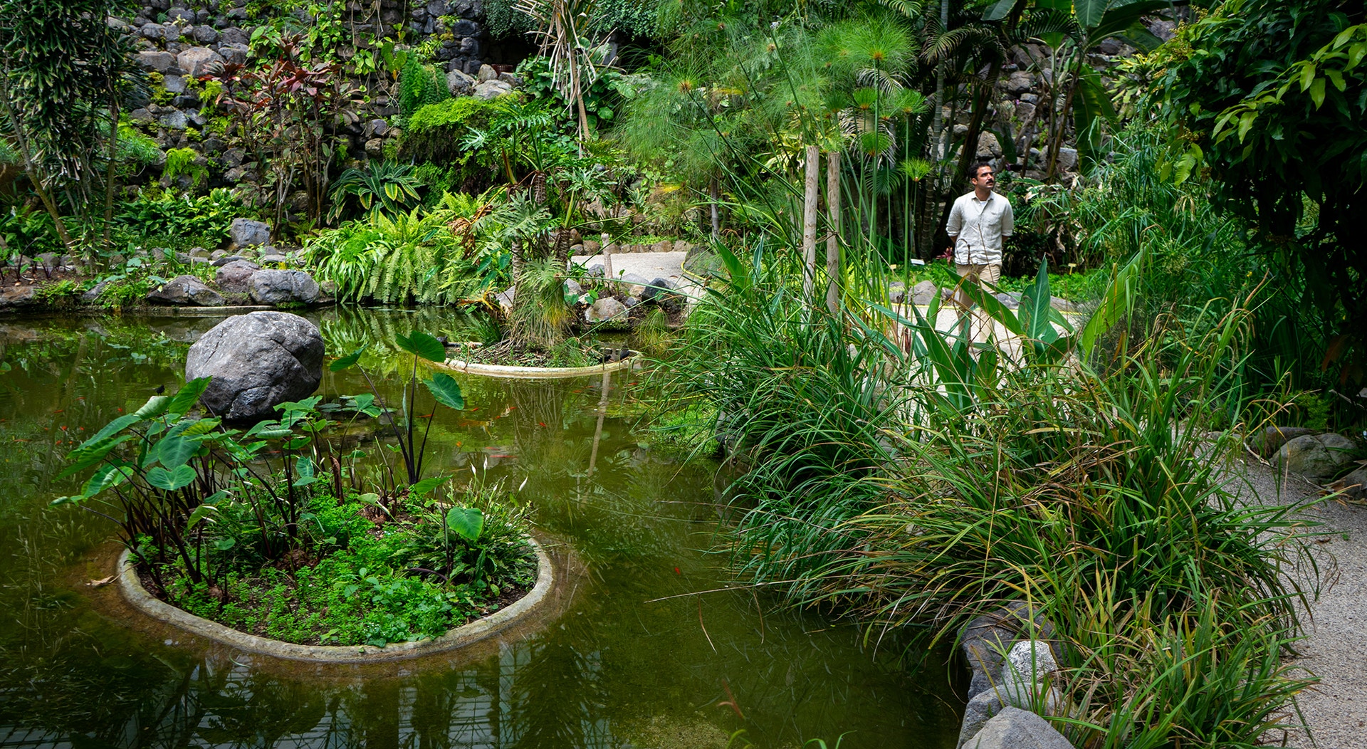  Foto: Rodrigo Lobo - RTP 