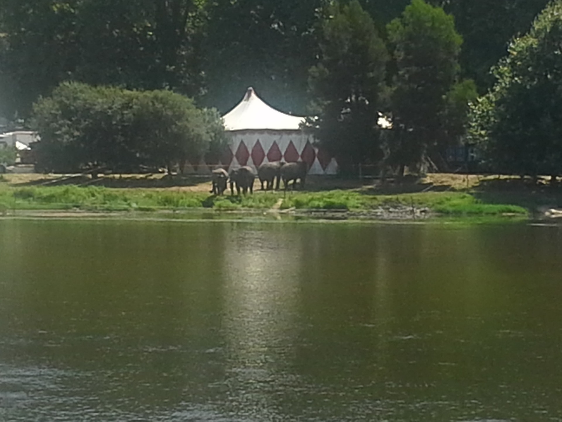  Enviada por A. Gon&ccedil;alves 