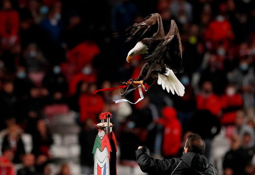 Benfica Em Busca da liderança na I Liga: Encontro contra o Estoril Praia