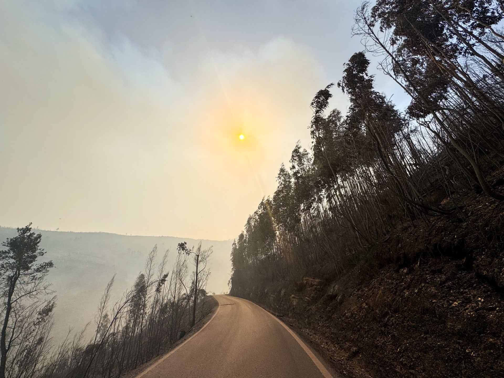 Perto de um terço de Portugal continental com risco alto e muito alto de incêndio rural alerta INE