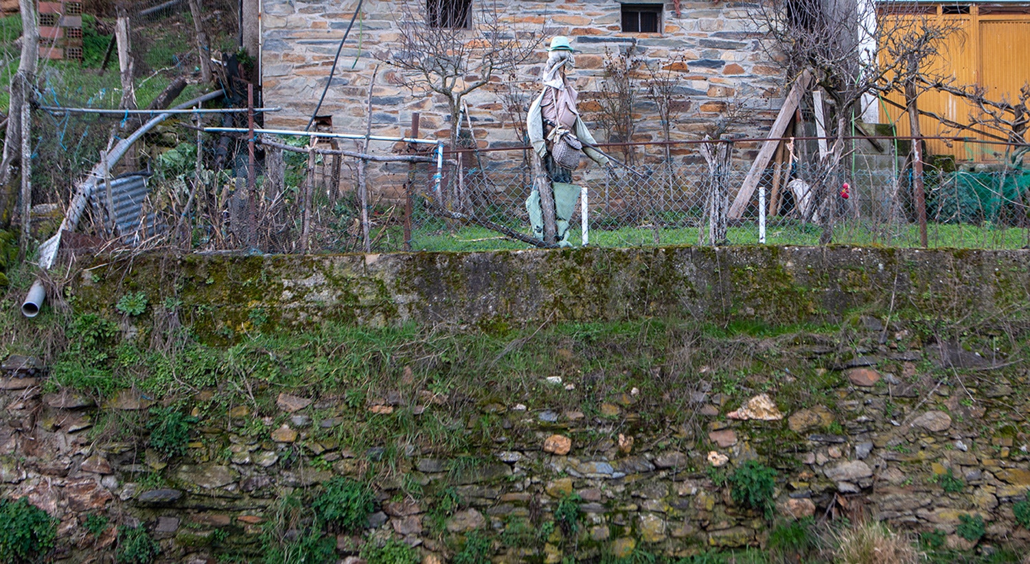  Foto: David Ara&uacute;jo - RTP 