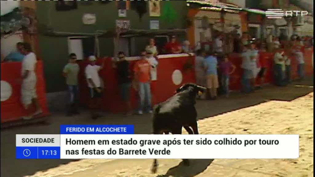 Alcochete: Touro faz dois feridos graves