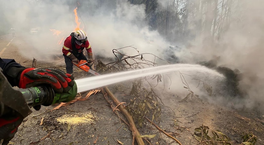 Firefighters Control 90% of Wildfire Perimeter in Castelo Branco Amid Heatwave