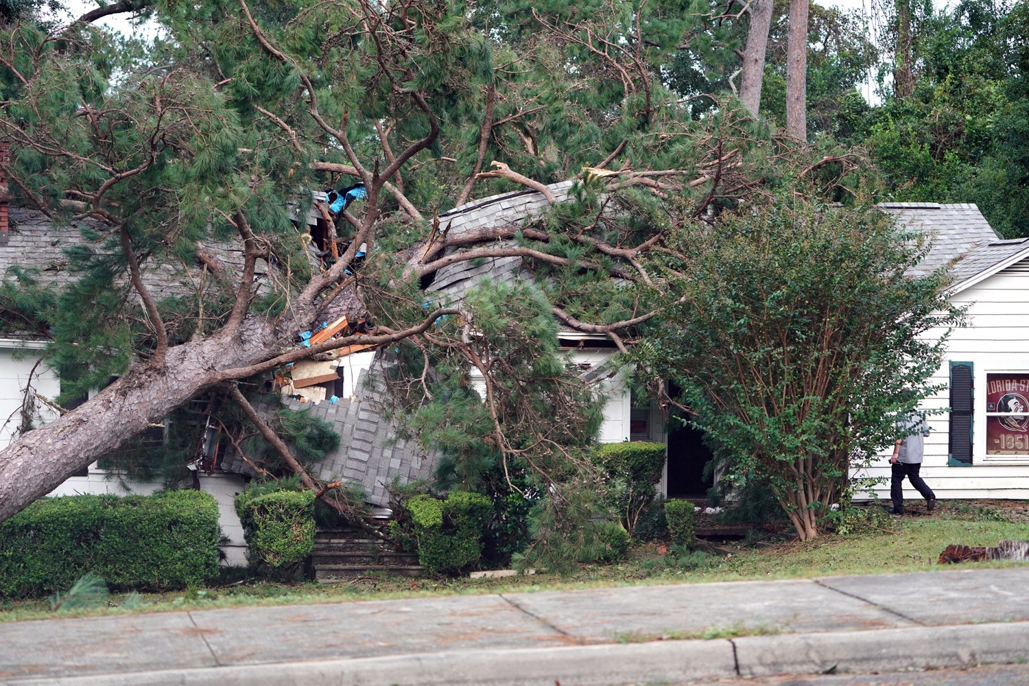  Carlo Allegri via Reuters 