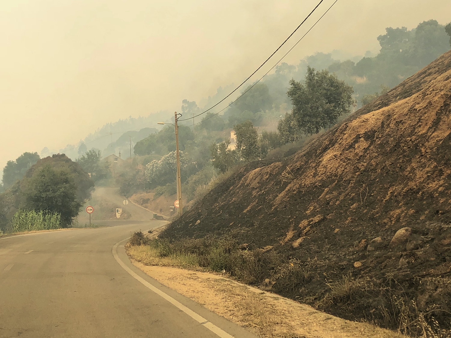 Foto: Miguel Soares - RTP 