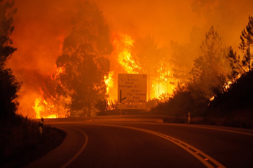 Resultado de imagem para pedrogão grande, incêndios