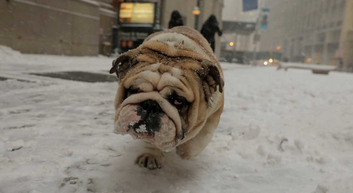  Lucas Jackson - Reuters  