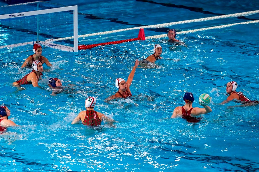 Europeu Polo aquático. Portugal defronta potência Hungria 