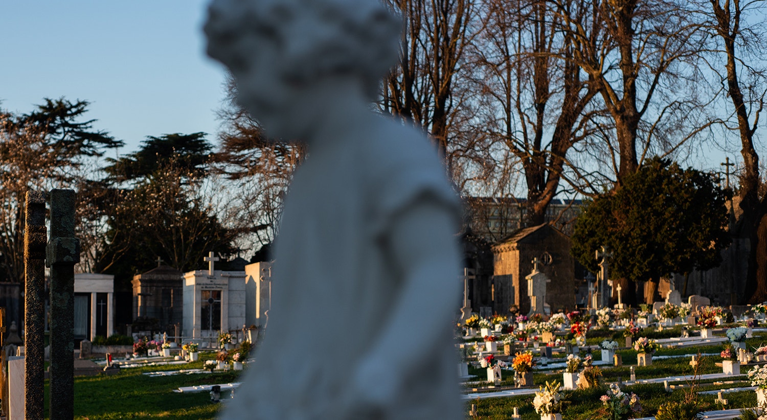  Foto: David Ara&uacute;jo - RTP  