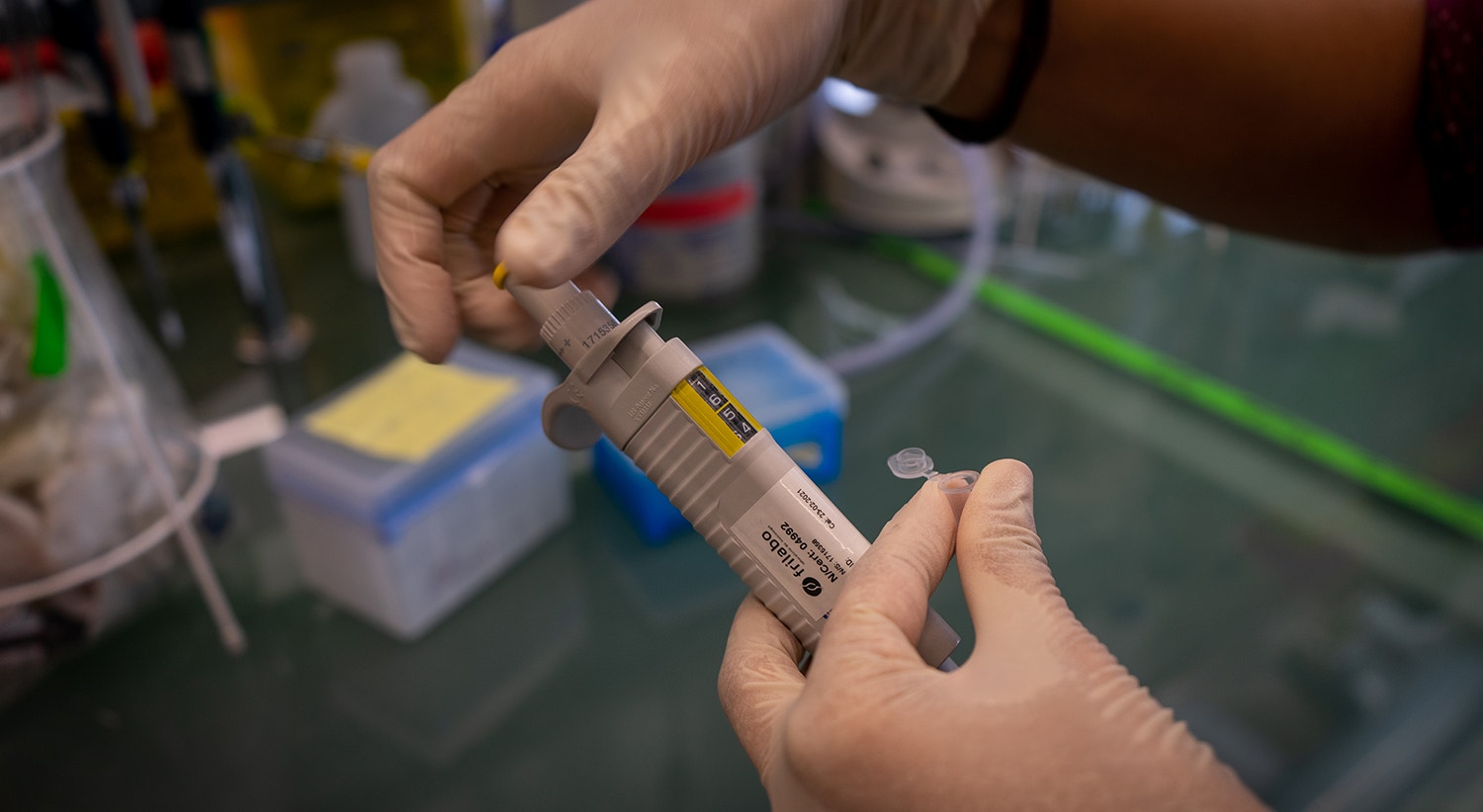  Foto: Rodrigo Lobo - RTP 