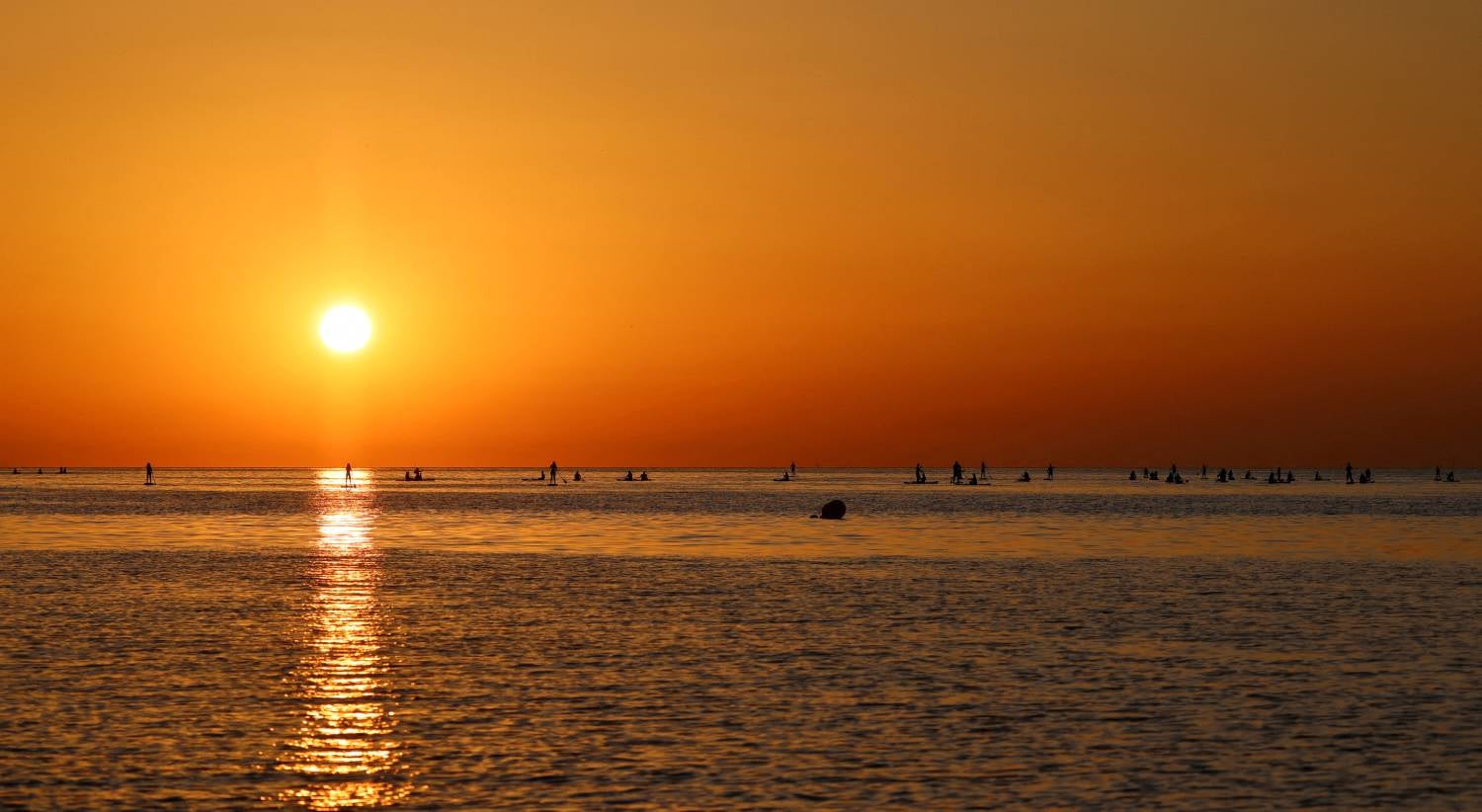 "Significant setback": Environmentalists reject amendments to the Framework Law on Climate proposed by the Liberal Initiative