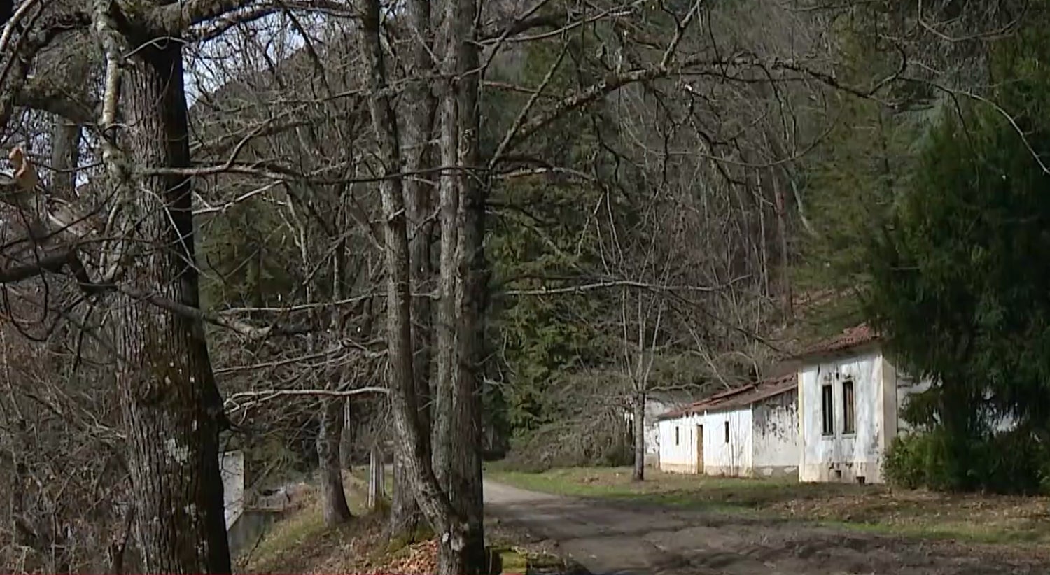 Preserving Montesinho. Commitment to biodiversity and heritage