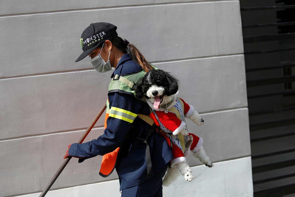 Imagem ilustrativa: Fiel companhia