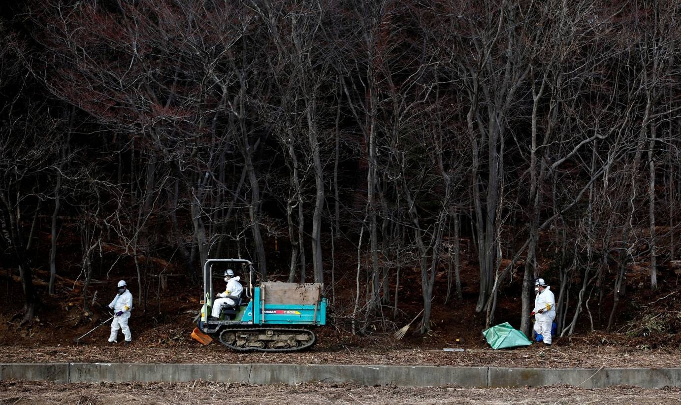 Descontamina&ccedil;&atilde;o do solo da floresta na cidade de Tomioka, quatro anos depois do acidente de Fukushima | Toru Hanai - Reuters 