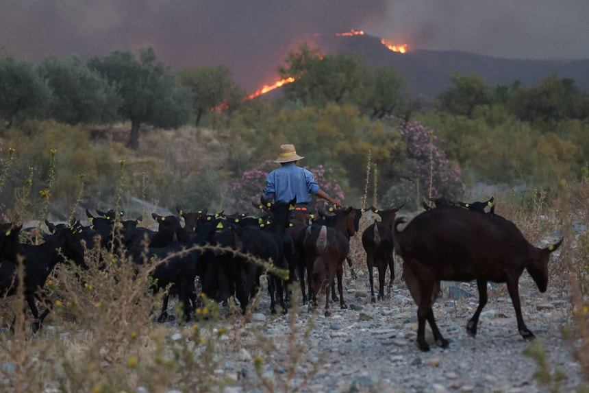 Imagem de Espanha. Incêndio em Almería já queimou mais de 6.600 hectares