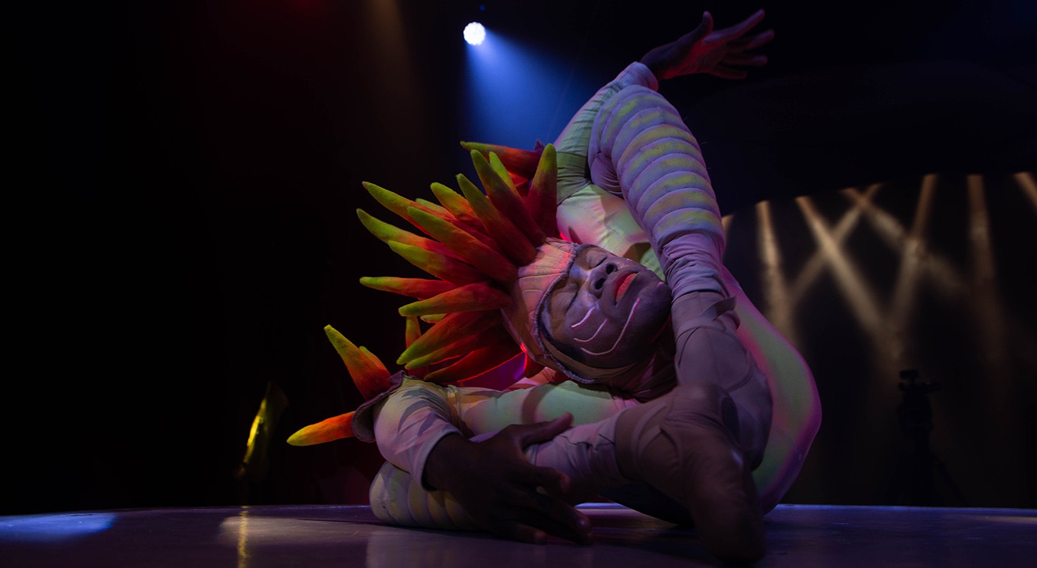  Foto: David Ara&uacute;jo - RTP 