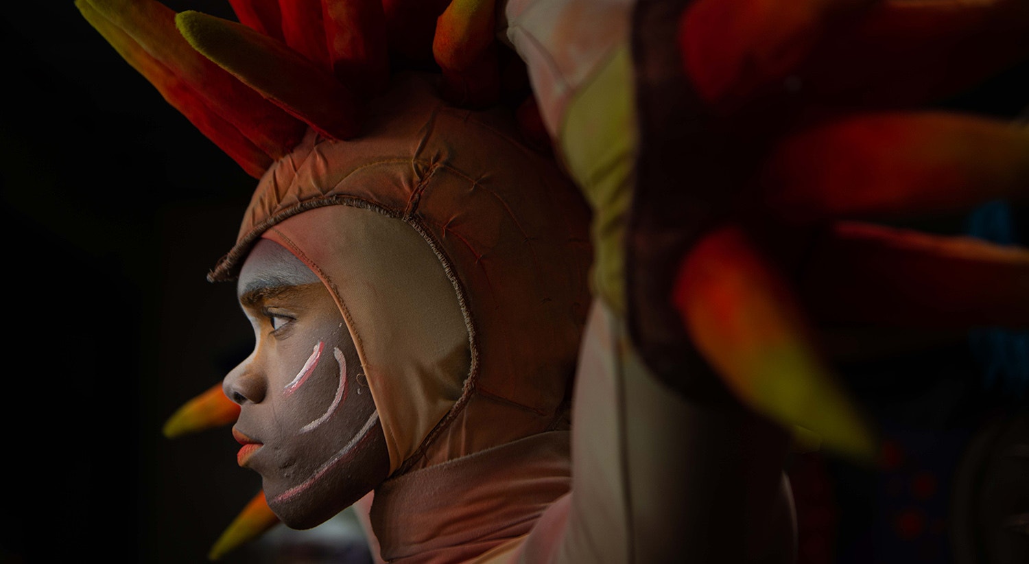  Foto: David Ara&uacute;jo - RTP 