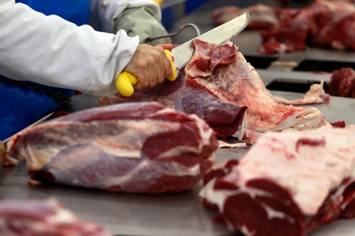 Empresarios admiten riesgo de que Brasil deje de exportar carne a la UE