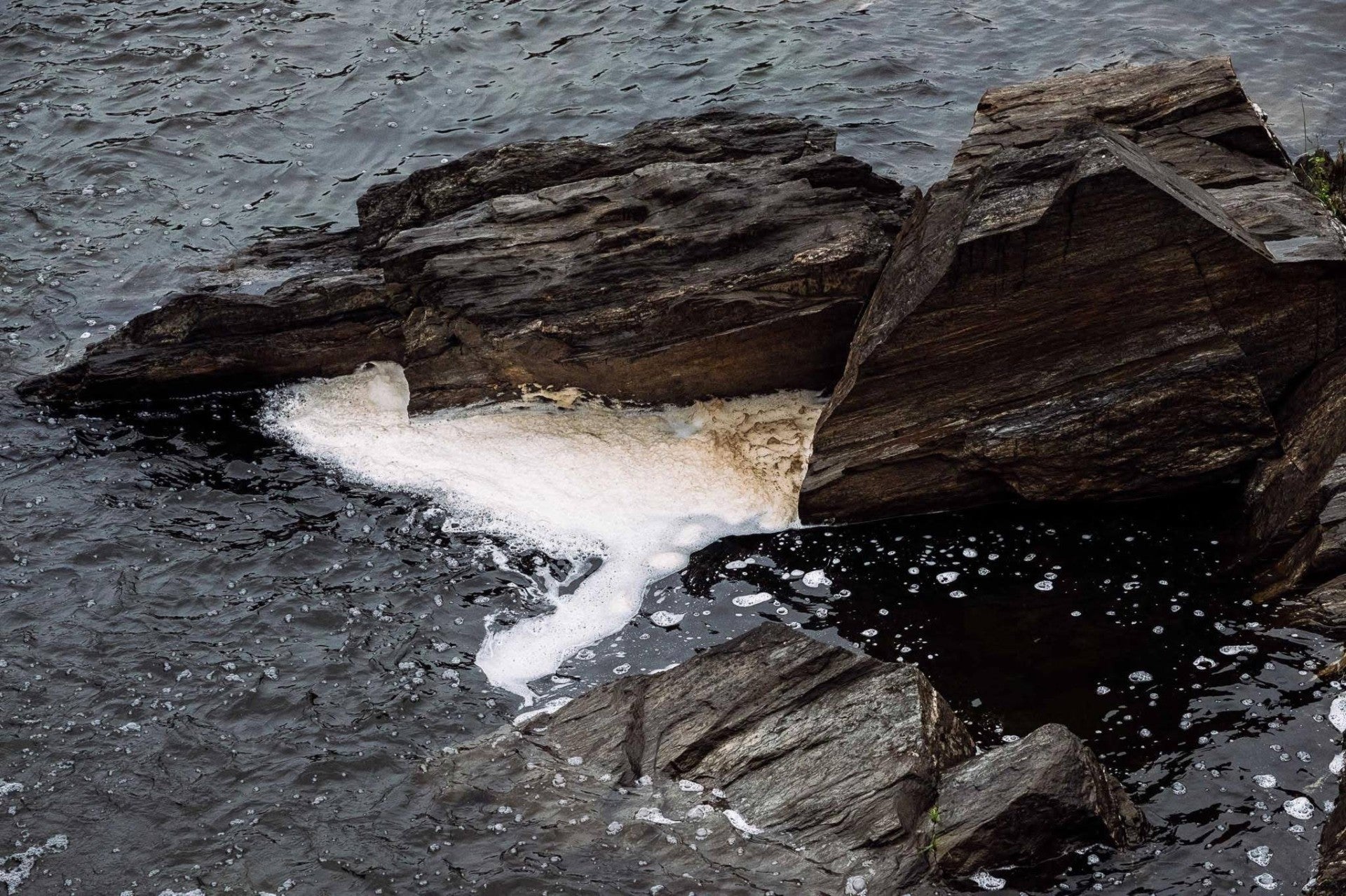 ProTejo movement fears setback from new pollution hotspot