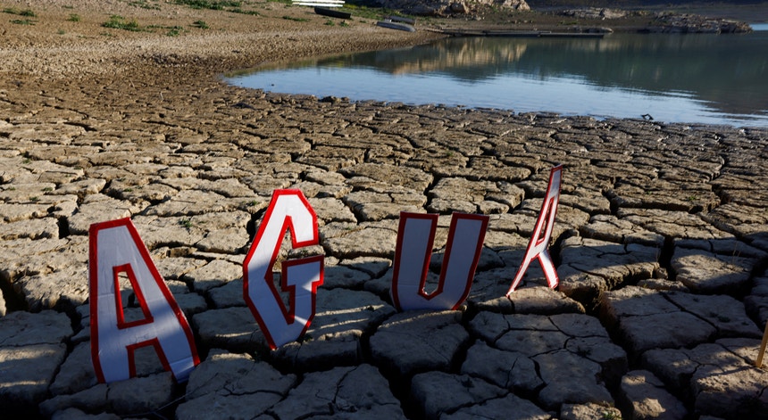 No sul do continente, assiste-se a um estado de “stress de calor extremo”
