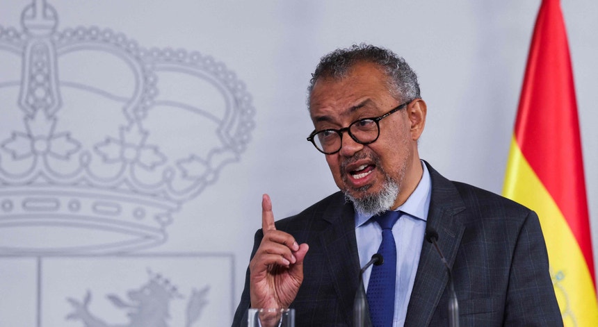 Imagem ilustrativa: Hantavírus. OMS prevê que "surjam mais casos" mas não há sinais de "surto de ma